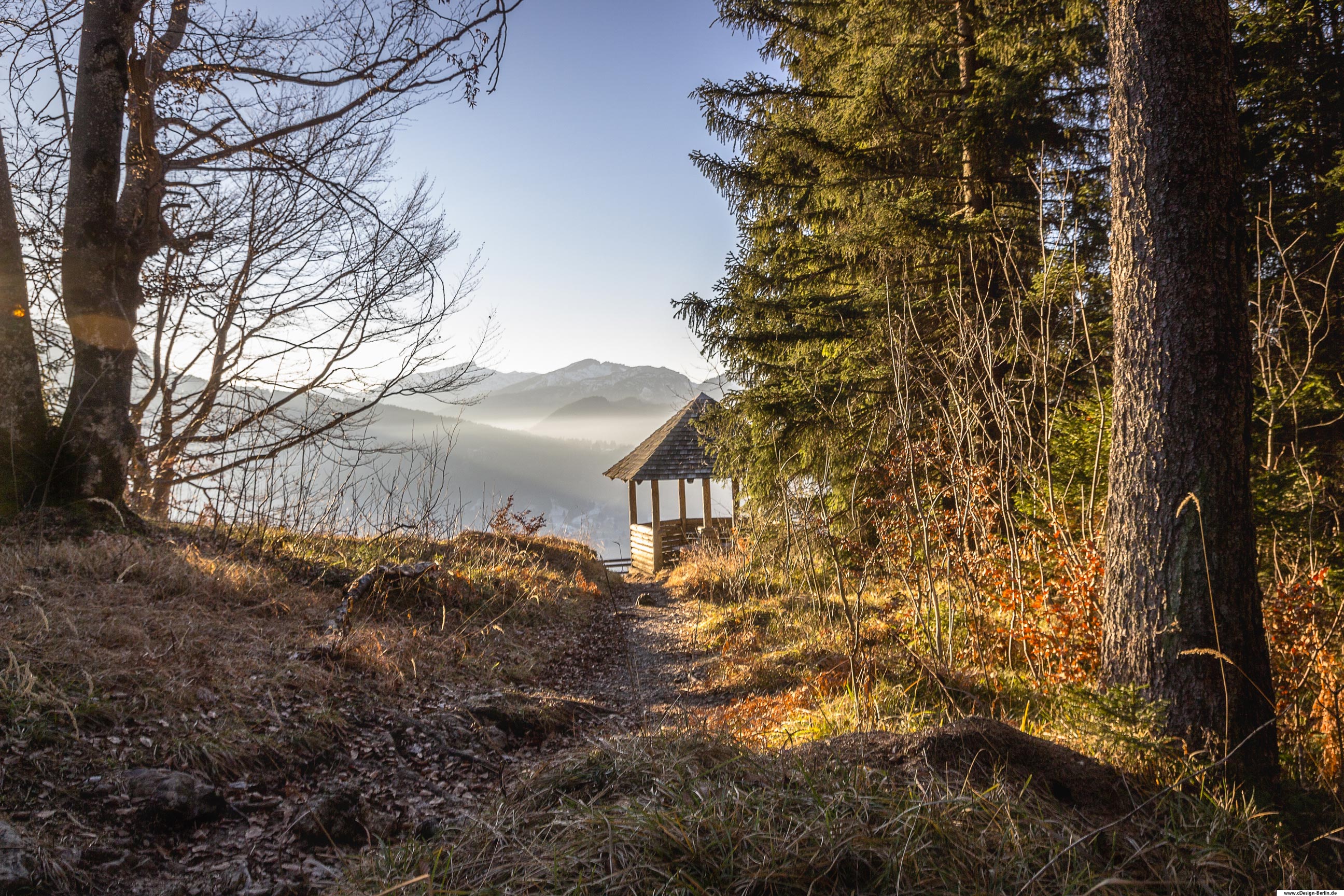 Wenn man dem Himmel nah sein möchte, muss man sich auf den Weg machen, um einen solchen Ort zu finden. Dieses Foto entstand auf einem Berg im Allgäu. Auf dem Foto ist einer schmaler Weg zu sehen, dieser ist rechts und links von Bäumen, Geäst, Sträuchern und Laub umgeben, hoch oben versteckt auf einem Berg im Wald. Am Bergesrand steht eine kleine Hütte, die ich die Hütte des Glückes nenne. Hinter der Hütte steht eine alte Meterhohe Tanne. Wenn man in der Hütte steht hat man den Blick über die Berge mit ihren schneebedeckten Gipfeln. Diese werden von einem Wolkenschleier umhüllt. Die Sonne dringt mit ihren wärmenden Srahlen in das Wolkenbett ein und schenkt dem Wald ihr Licht. 