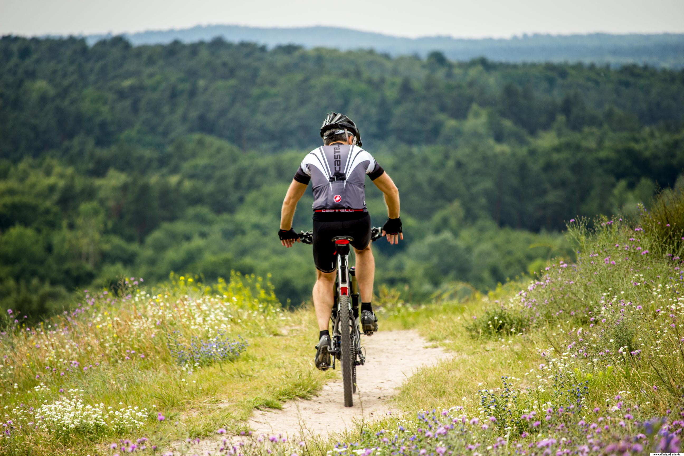 Du spürst die Wärme auf deiner Haut. Es ist Sommer. Menschen zieht es in die Natur. Auf diesem Bild fährt ein Mountainbiker einen kleinen Weg entlang. Er ist Rechts und Links  von einer Blumenwiesewiese umgeben. Vor ihm ein Abhang der in einen Wald hineinführt. Dieses Foto ist auf dem Drachenberg in Berlin entstanden.