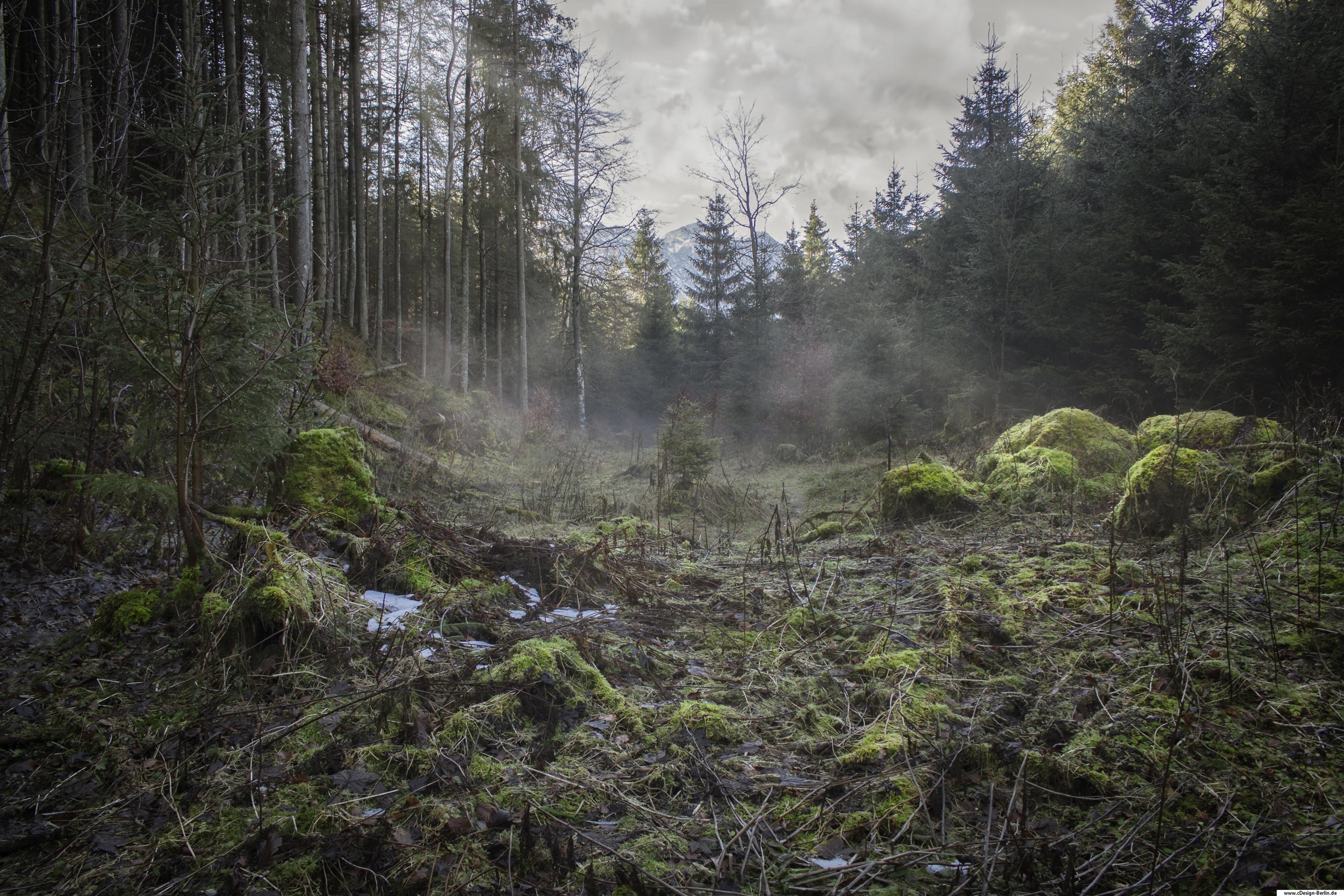 Du stehst mitten im Wald, unter deinen Füßen spürst du die Nässe und Kälte. Du versinkst im Geäst und Moos. Du stehst tiefer als die Bäume links und rechts von dir, fast schon eingebettet. Mit dem Blick nach vorne gerichtet tun sich Nebelfelder auf, es ist schon fast beängstigend. Vielleicht hat sich Rotkäppchen so gefühlt, als es sich auf den Weg zu ihrer Großmutter gemacht hat. Allerdings gibt es doch noch ein wenig Licht in dieser düsteren Szene, denn rechts vom Bild streicheln Sonnenstrahlen die Baumkronen. Wenn du durch den Nebel schaust, siehst du auch ganz versteckt hinter ihm die schneebedeckten Berge.