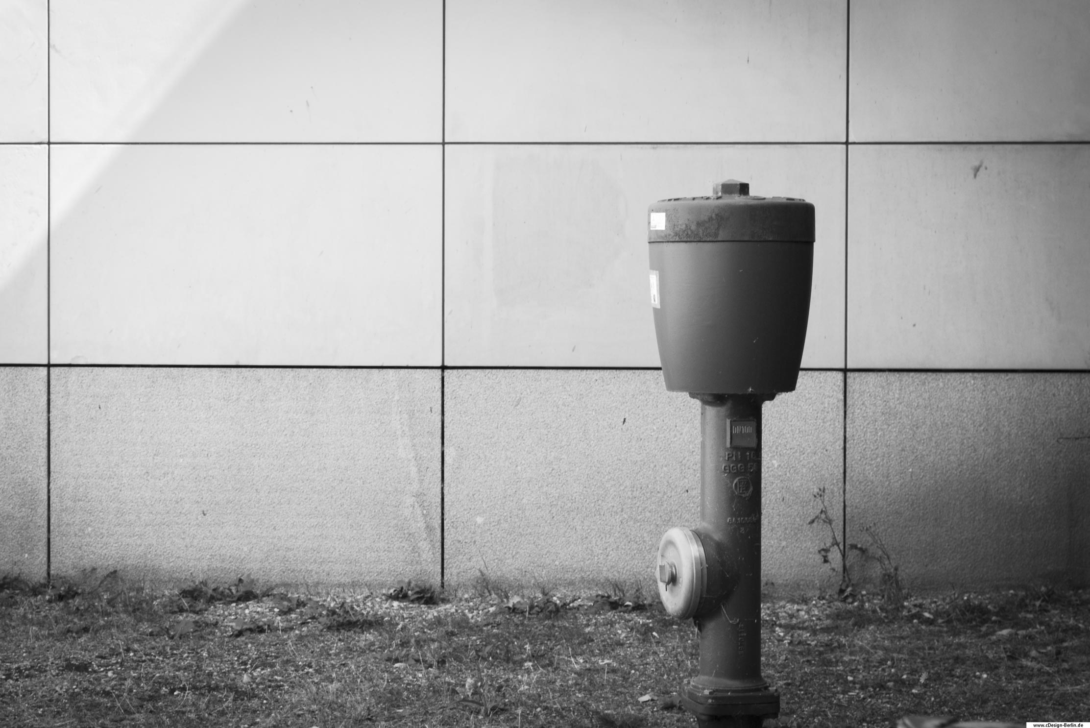 Unscheinbarer einsamer verlassener Hydrant, steht am Straßenrand, wird nie gesehen und bleibt dennoch stehen. Dieses Foto ist in schwarz/ weiß gehalten. Zu sehen ist ein Hydrant stehend auf einer Wiese, hinter ihm eine großgekachelte Wand. Viel zu oft geraten sie in Vergessenheit, doch sind sie entscheidend für Menschenleben. Dieses Bild war eines meiner ersten Fotografien und wurde mit meiner damaligen Kamera der Canon 450D abgelichtet.